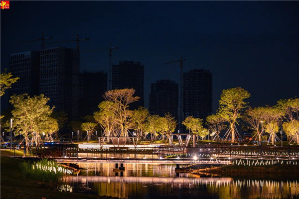 Taman Cuihu, Daerah Baru Cuiheng, Projek Pencahayaan dan Pencahayaan Zhongshan-WANJIN (9)