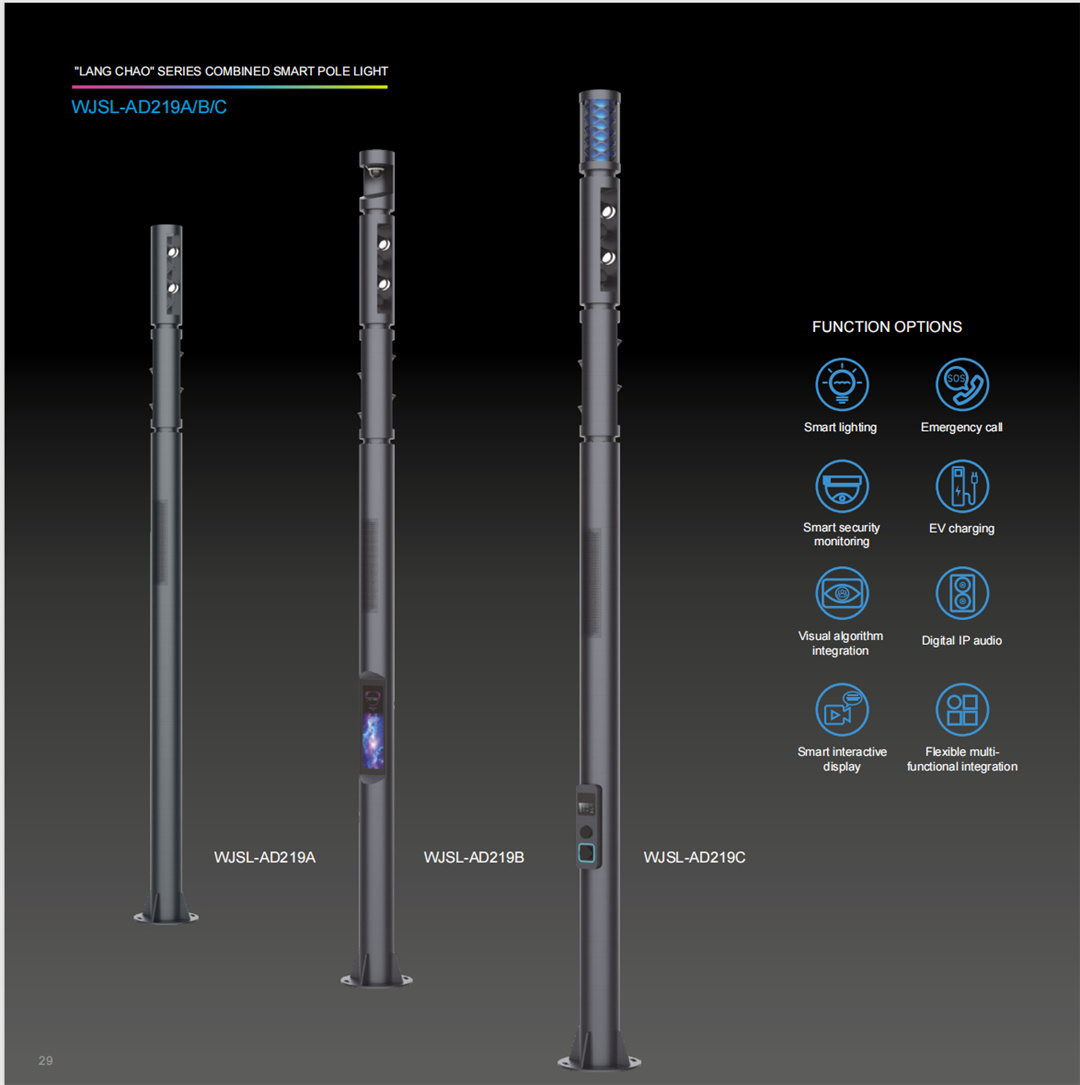 FUNCTIONAL DESCRIPTION (1)